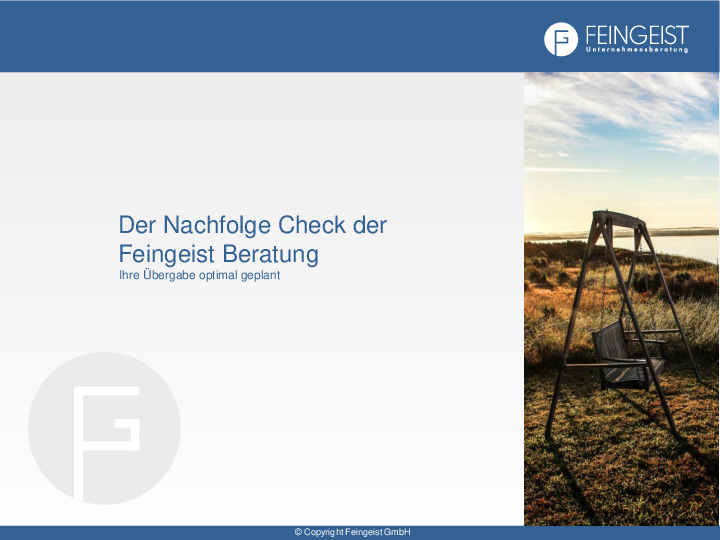 Nachfolge Check Ebook